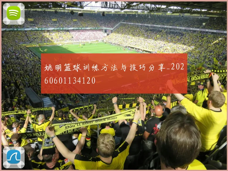 姚明篮球训练方法与技巧分享_20260601134120