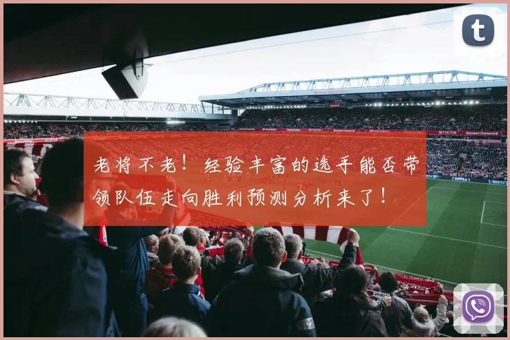 老将不老！经验丰富的选手能否带领队伍走向胜利预测分析来了！