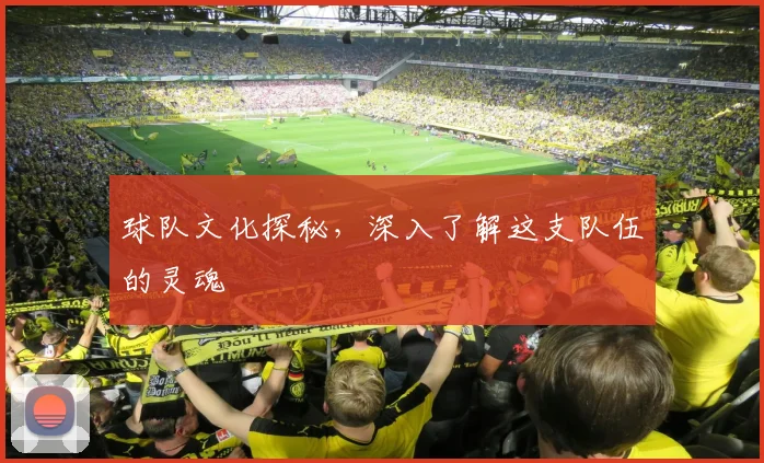 球队文化探秘，深入了解这支队伍的灵魂