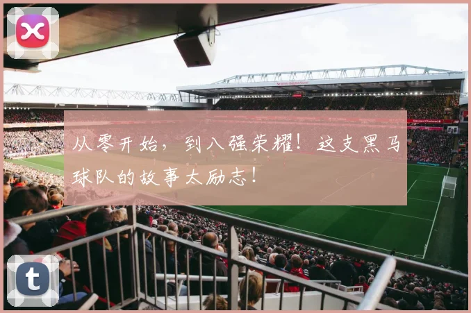 从零开始，到八强荣耀！这支黑马球队的故事太励志！